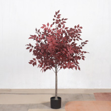 ����Gֲ���b��tɫ���~���҃��b�������ؔ[�����R�d���l����