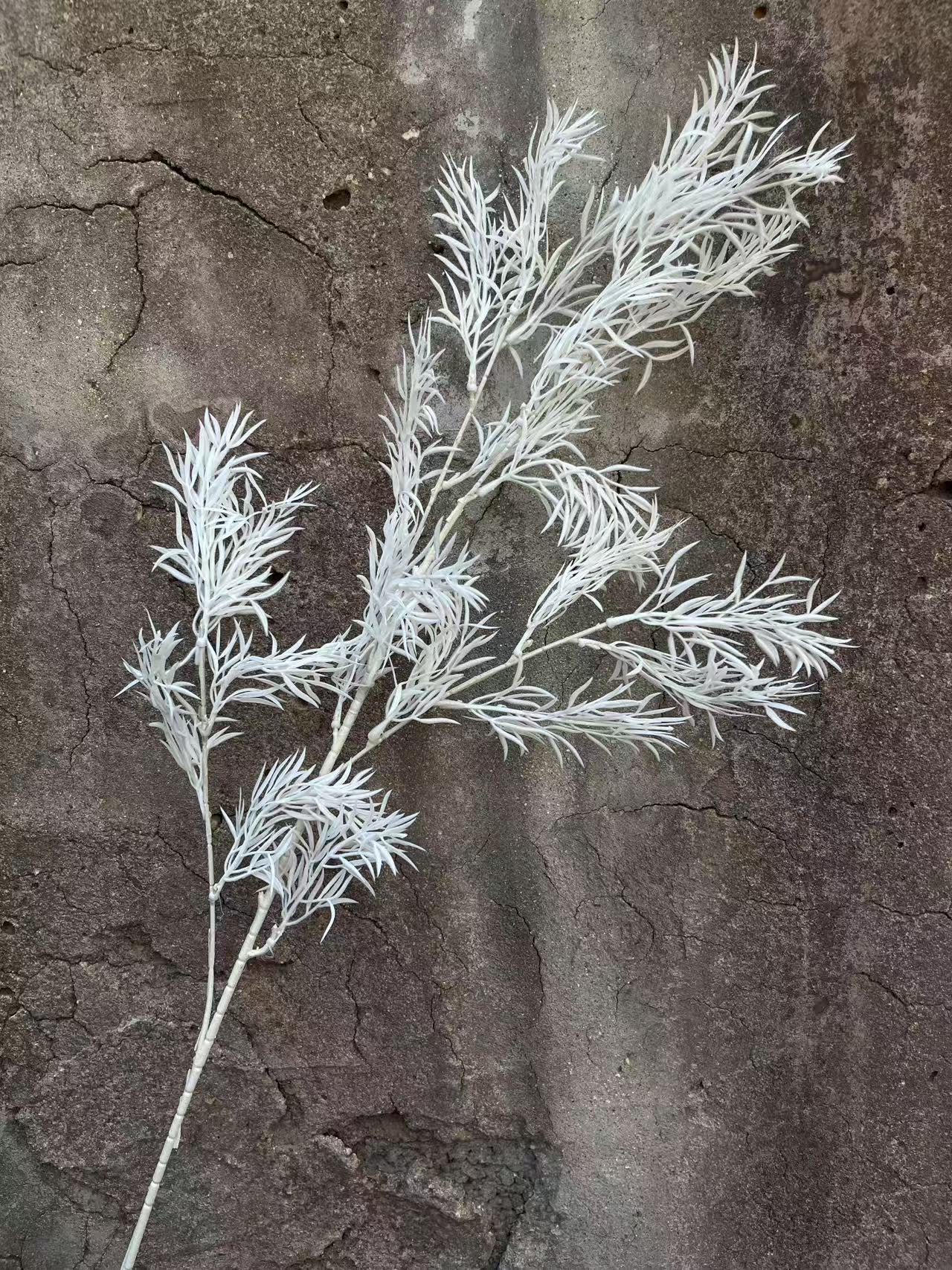 微信图片_20250402154921