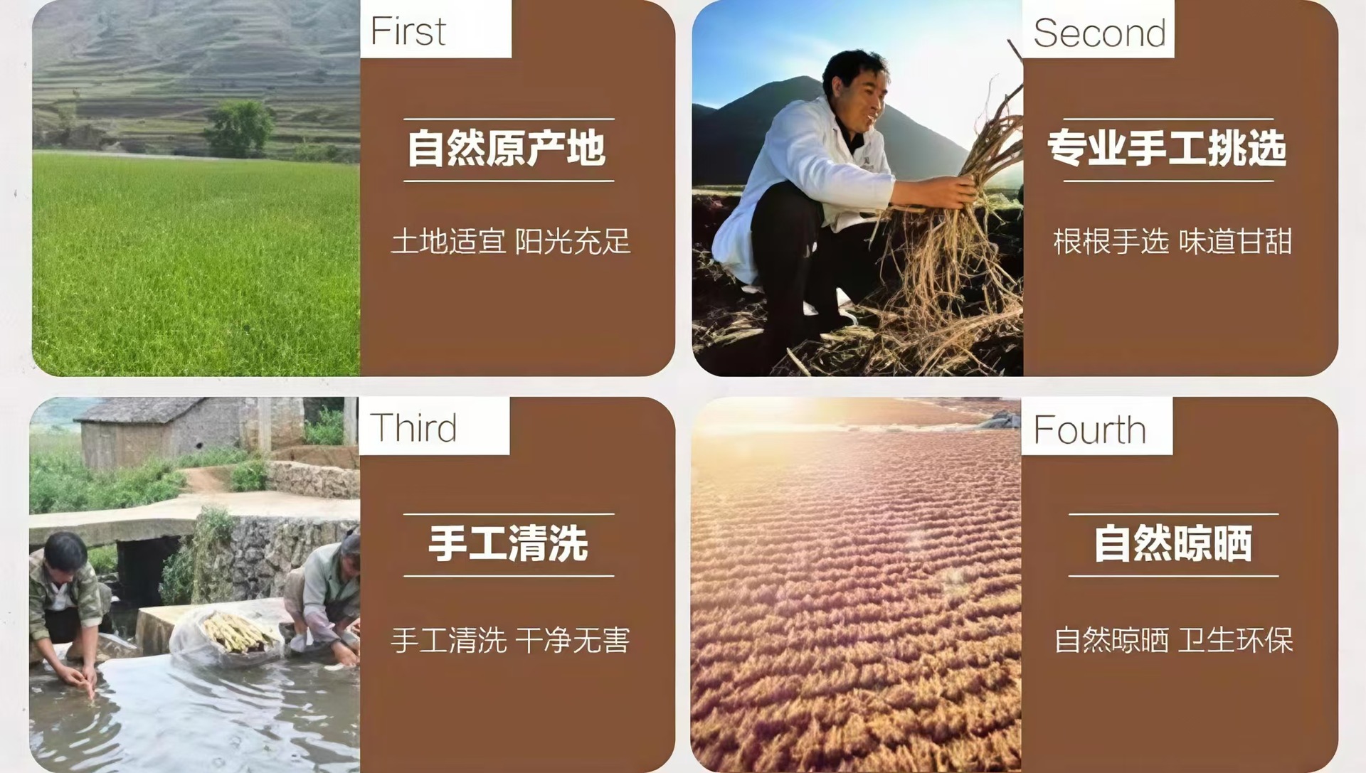 Huang Qi Slices (Astragalus membranaceus) — Gansu Minxian Dried Root Slices for Soup & Tea overview