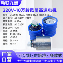 DL2928-H2AL ������ 220V-10�f�D���D�Ӱ��LͲ����늙C
