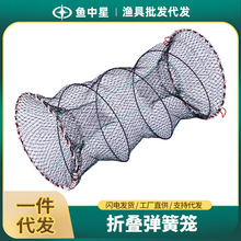 弹簧捕鱼笼弹簧饵笼捉螃蟹笼圆形黄鳝笼海用淡水折叠虾笼老式渔笼