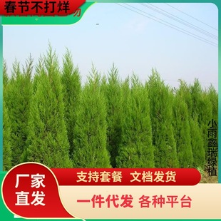 һ�����l�����ɰؘ���Ȱر�ؘ����ļ������������؈A�ؘ�������