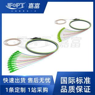 Cross-Border Hot-Selling Jumper Manufacturer Lc Fc Multi-Mode G657B3 Single-Mode Fiber Optic Pigtail 8-Core 12-Core Bare Ribbon Pigtail