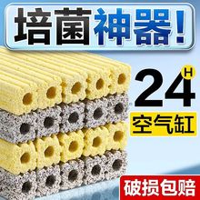 ݞVD^V{~^VVăմɭhˮ|