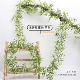 仿真装饰假树藤假花满天星客厅电线外露遮丑吊顶遮挡藤蔓塑料缠绕