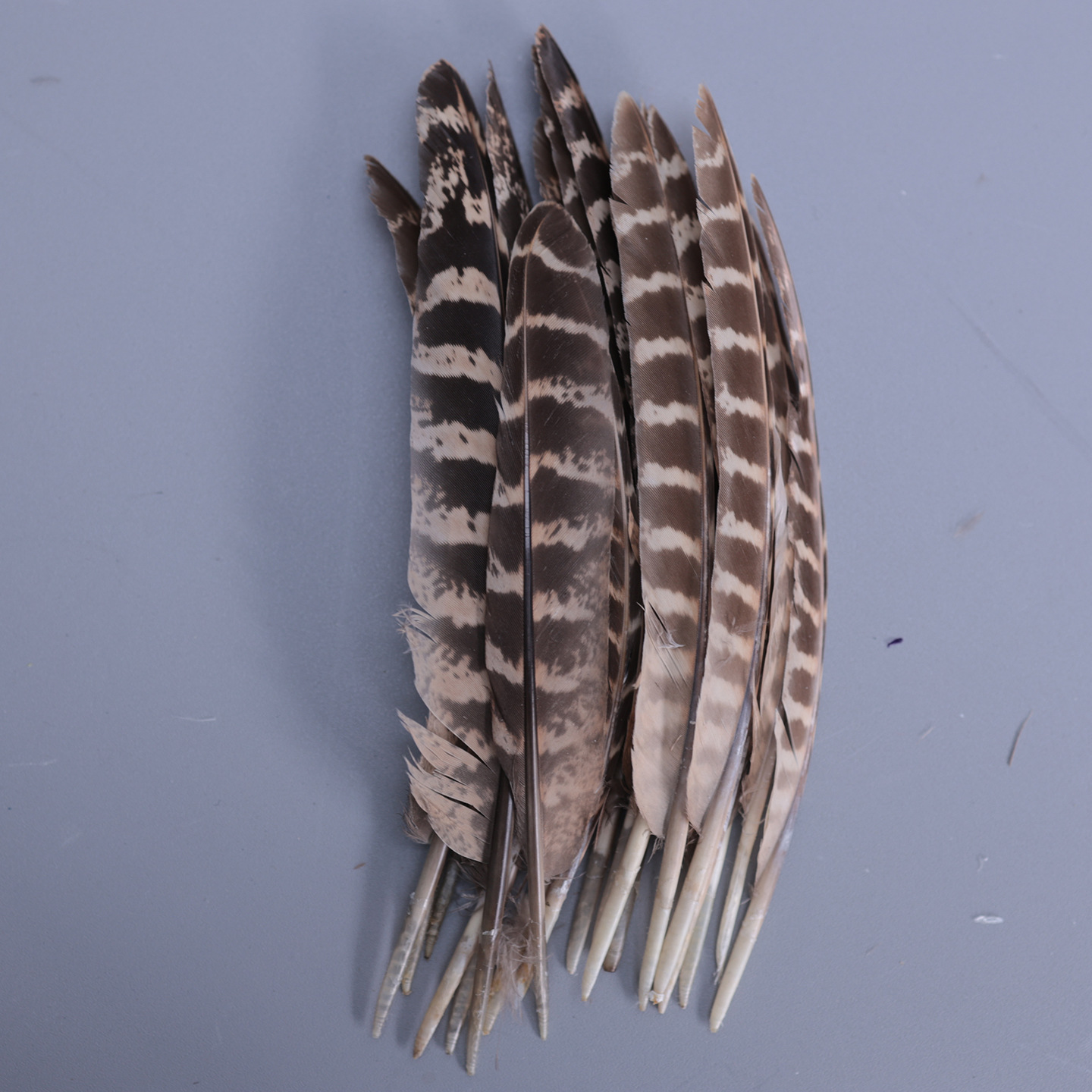 Fábrica al por mayor de bricolaje plumas pequeñas plumas naturales plumas de pollo salvaje plumas de pato jardín de infantes joyas hechas a mano gato divertido material de captura de sueños