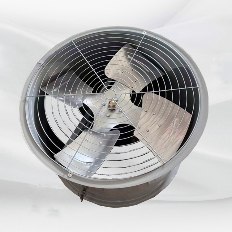 低噪音轴流风机 壁式带网 DZ-I-4#  5000m3/h  146pa  0.37kw