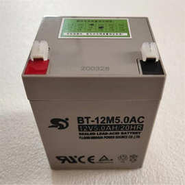 赛特蓄电池BT-12M5.0AC 12v5AH门禁 助力车 医疗 安防电池设备