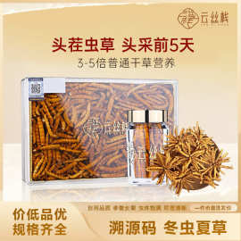 生态养殖冻干冬虫夏草源头批发头茬虫源码冬虫夏草干货电商批发