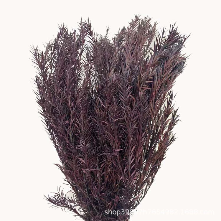 Eternal Life Ritter Thousand -layer Golden Flower Flower Eternal Leaf Material Bouncing Flower Insert Decoration Decoration Materials