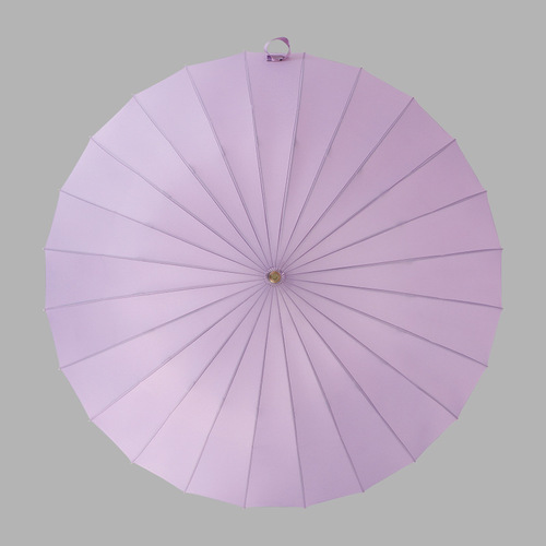 Umbrella new style color handle 24 rib automatic umbrella large long handle umbrella simple double anti-storm umbrella one piece drop shipping