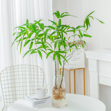 ������Ϙ��Gֲ���҃�ˮ�B���������������̨�͏d�������辰