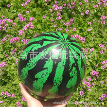 9���̖����������ͯ���������Ƥ���׃��@�Α��򹤵����đ