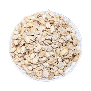 ������ ������ �����ӷ� ������ �oѬ������ ����ă�