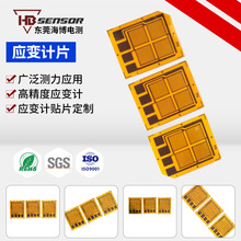 应变计称重传感器应变计应变仪器高精度测量扭矩扳手贴片厂家