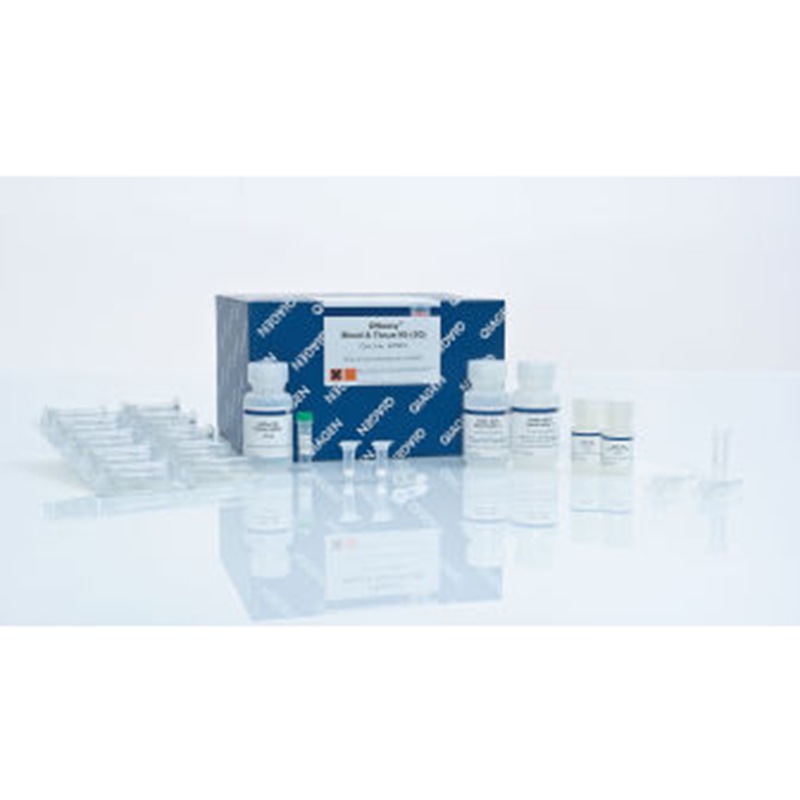 69504 凯杰 DNeasy Blood & Tissue Kit (50)提基因组DNA试剂