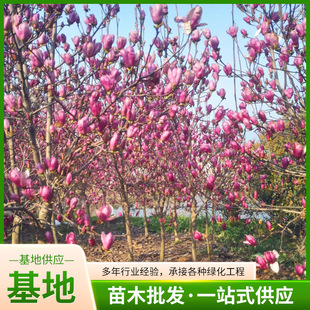 ͥԺ�����е���@�־G������ �޽������m�����Ҏ����� ���󃞻�
