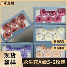 �û�������A��5-6õ�廨��Ħ��݆�{ɫ��������diy��ϸɻ�����