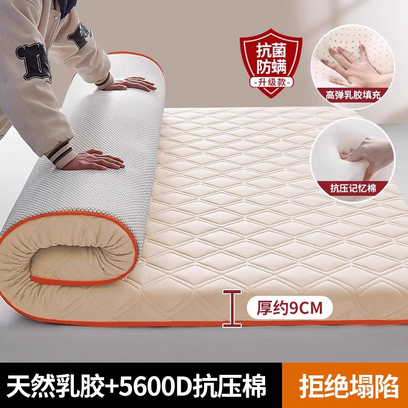 [전용모델] 팡링게 - 낙타 두께 약 9cm [수면의 질이 좋지 않은 분들에게 적합]