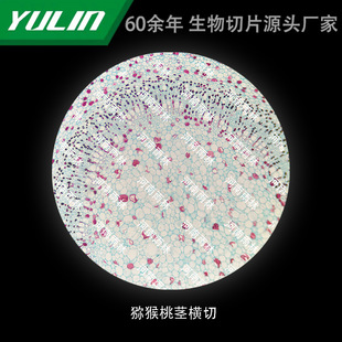 �J�����o�M�и�У�t�WԺУ�ýM������ʯϞ��Ƭ�˱��@΢�R