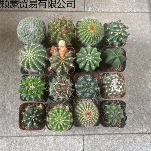 �_���������ȫ���b�ļ�������ɫ�����k���ҿ羳�S