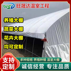 河南 外遮阳种植大棚 简易薄膜大棚 温室蔬菜种植连体棚 西瓜大棚