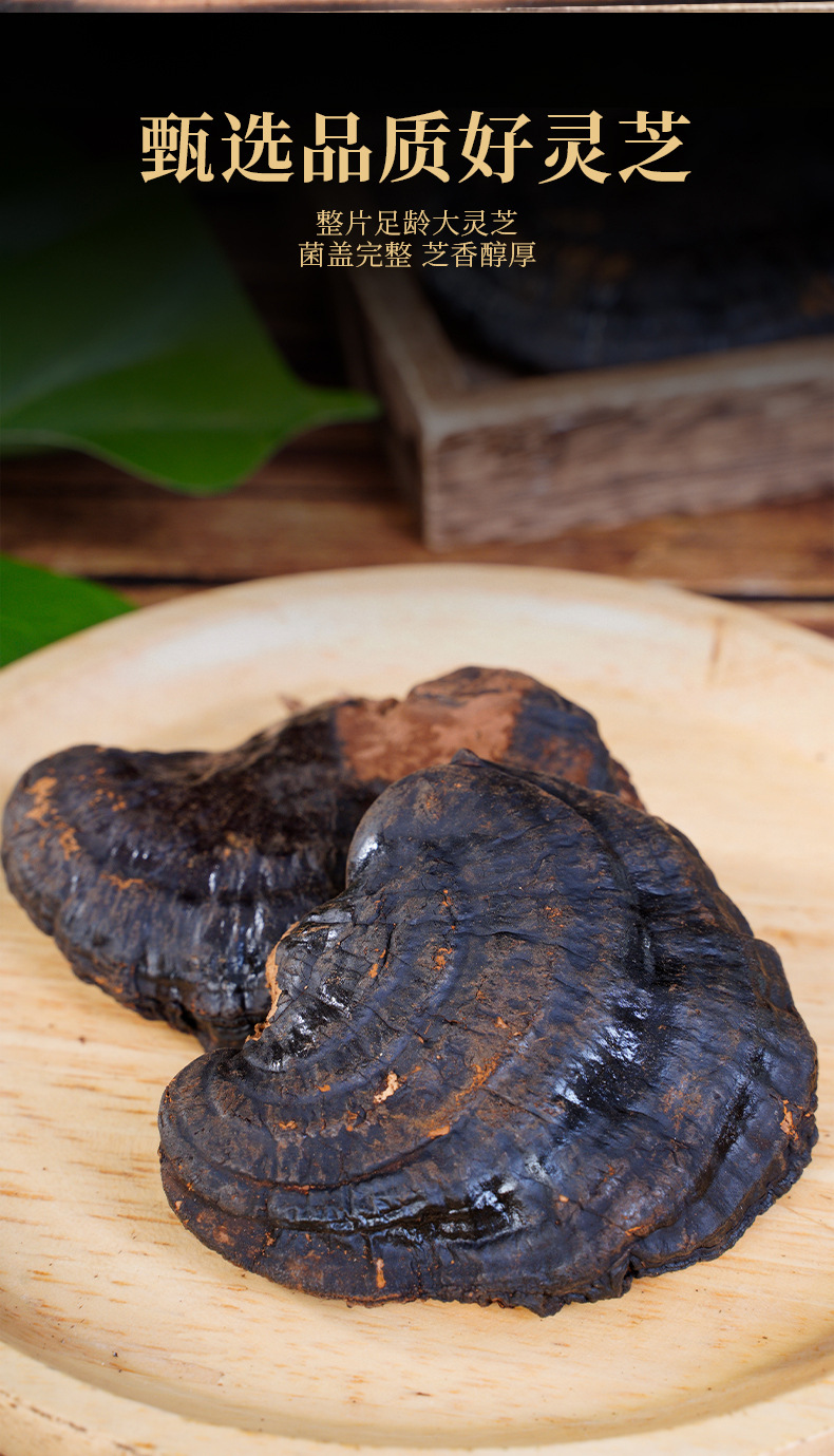 Organic Broken Wall Reishi Mushroom Spore Powder 100g Ling Zhi Po Bi Bao Zi Fen overview