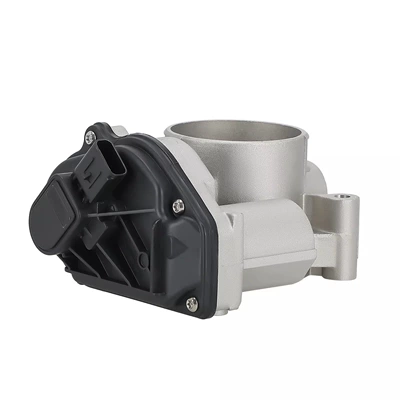 Throttle Assembly, Drossel
