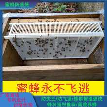 双王群养殖隔王板防盗片蜜蜂多王群饲养笼隔王栅产卵控制器防逃笼