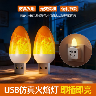 LED������� �ӑB����� �ưɹ��շՇ������ƻ��W�q USB�����