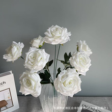 �¼����滨9�^�ʯõ��ٻ��b�c�����Ɍ����û鷿��Y��ˇ