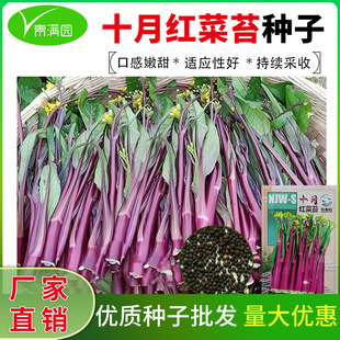 ʮ�¼t��̦�N������a�^���߲˴����＾�Nֲ�̨�������N�Ѵ�ȫ