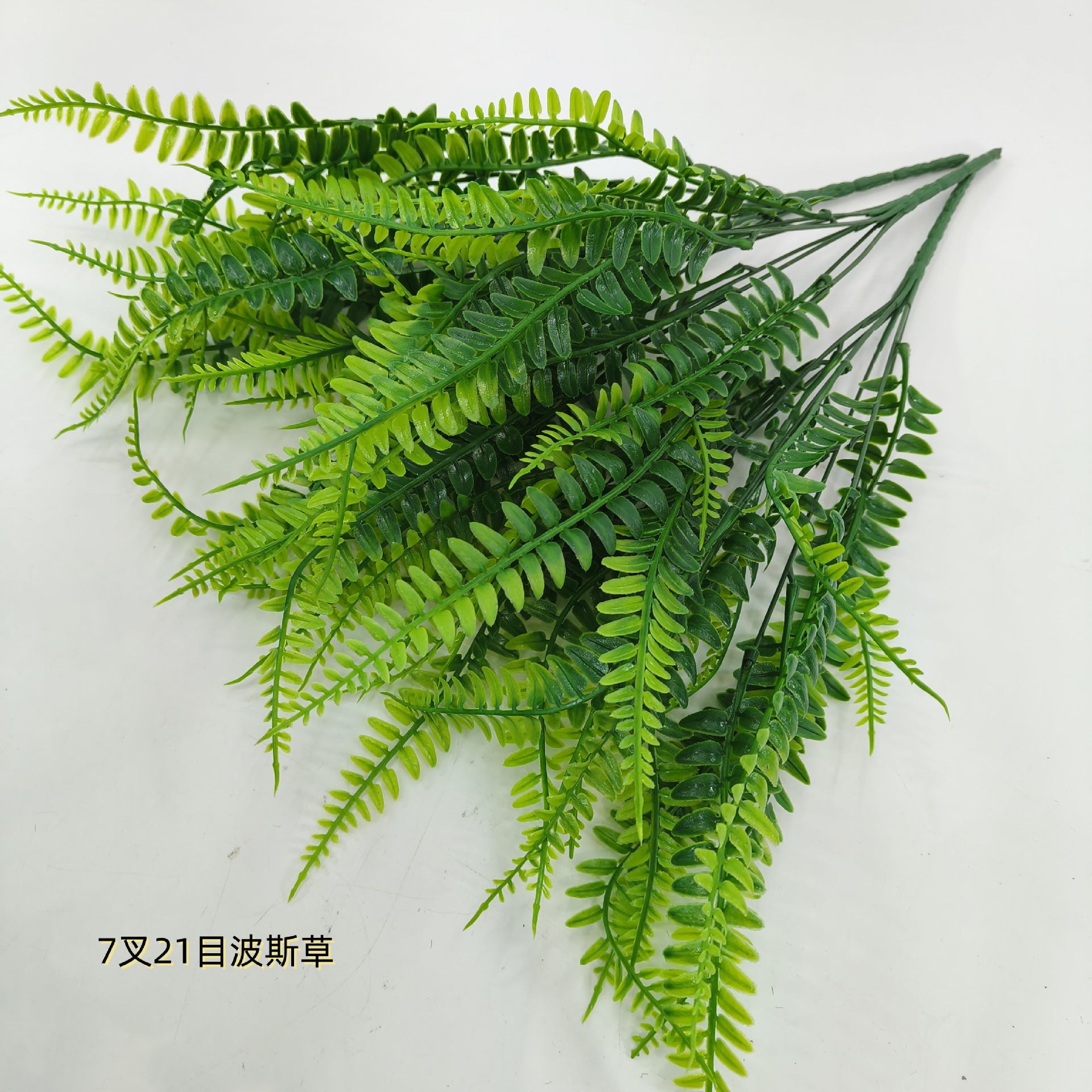 波斯草7叉水草把束蕨草仿真植物植物墙配材羊齿蕨排草仿真绿植
