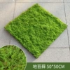 Land Moss 50 × 50