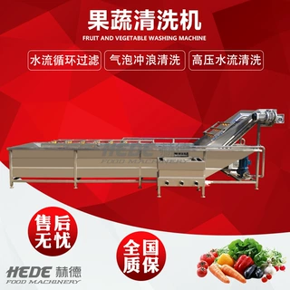 供应果蔬气泡清洗机 多功能洗菜机 蔬菜气泡翻浪清洗机 现货定制