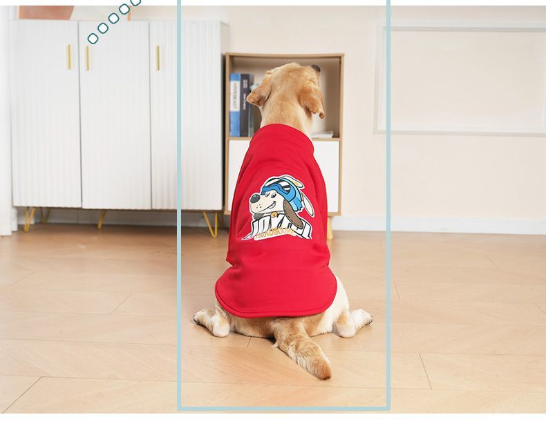 32e3adb6-1610-41eb-9617-4d149a7ddd88.jpe