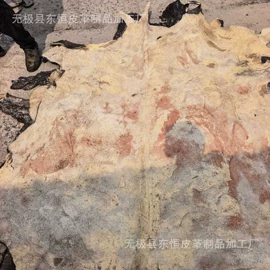 牛皮革;羊皮革;腰带