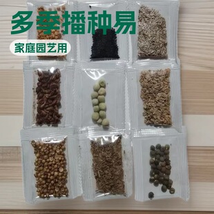 ������M؛�����N��С����؛ �߲˷N��С���bҎ�� �N����̹�؛