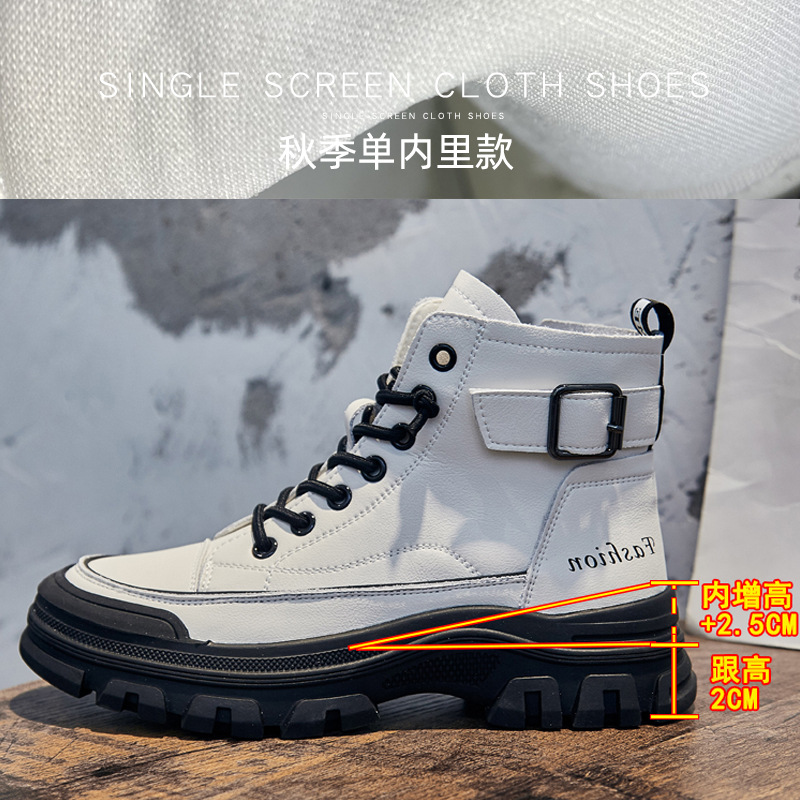 베이지 블랙 내부 높이 증가