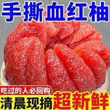 �����t������ˮ�����]��������r��ˮ���t�����ӬgϪ�t��ƽ������