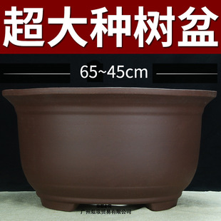 �ش�̖��ɰ����N���Ϙ�60cm���ϷN�lؔ���F���մ���
