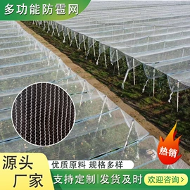 遮阳网;防鸟网;防雹网