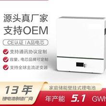 ���Ã��ܱڒ�ʽ�늳� 48/51.2V 100AH����������