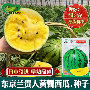 �|���m�F���Sȿ���ϷN�� �r��˵طNֲ����Ʒ�N�����Sȿ�GƤ����