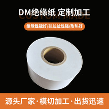 厂家直销定制DM绝缘纸 DMD复合纸6630/6641绝缘纸模切加工