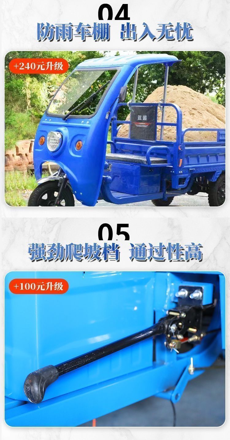 Electric Tricycle for Cargo, Delivery, Farm Use, Adult