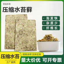 压缩水苔干苔藓蝴蝶兰多肉种植专用青苔水苔爬宠垫料现货供应水苔