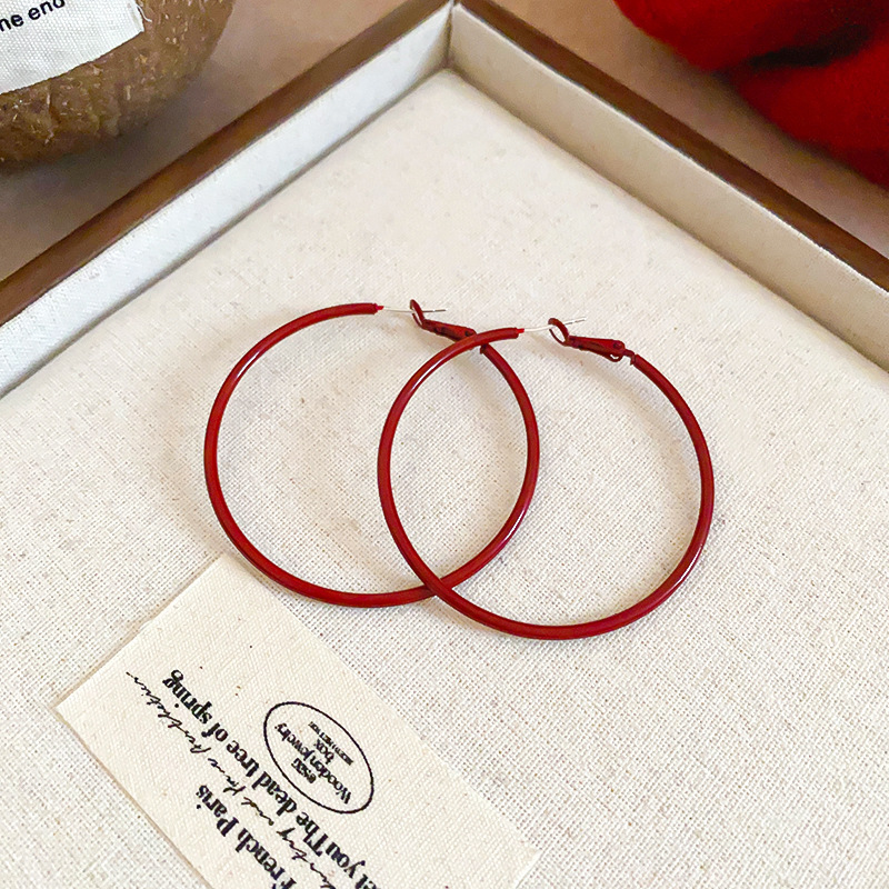 Aguja de plata Pendientes redondos simples europeos y americanos Pendientes de anillo de temperamento de todo fósforo de moda de nicho Pendientes de lujo ligero de alta gama Mujeres