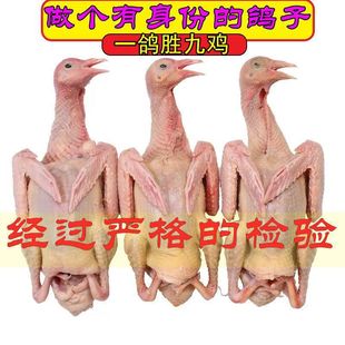 �������������r�����������������r����b���]�S�Ҵ��lһ�����]