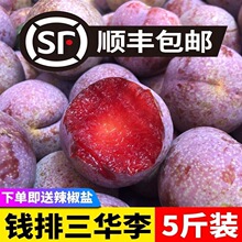 正宗钱排三华李5斤装新鲜红心李子现货当季孕妇酸水果脆整箱1斤大